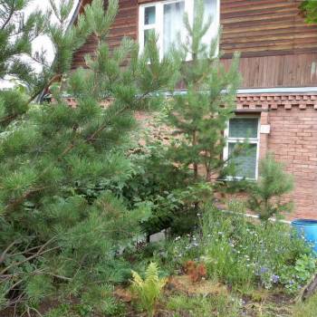 Продается Дом, 70 м²