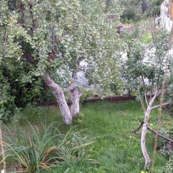 Продается Дом, 70 м²