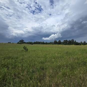 Продается Участок, 300 м²