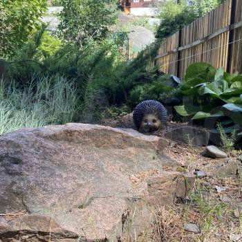 Продается Дом, 70 м²