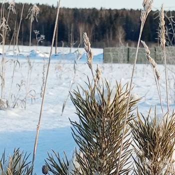 Продается Участок, 610 м²