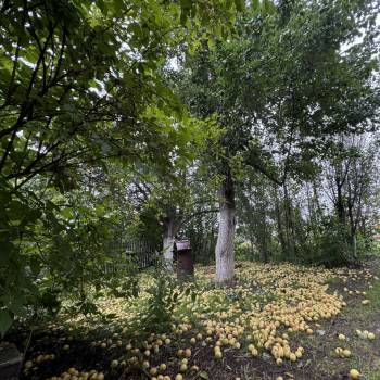 Продается Дом, 73,4 м²