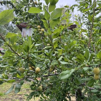 Продается Дом, 73,4 м²