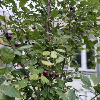 Продается Дом, 73,4 м²