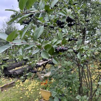 Продается Дом, 73,4 м²