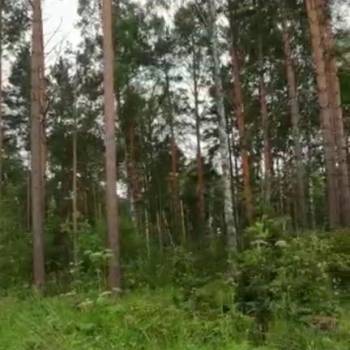 Продается Участок, 1200 м²