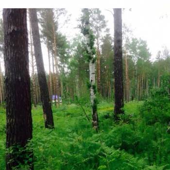 Продается Участок, 1200 м²