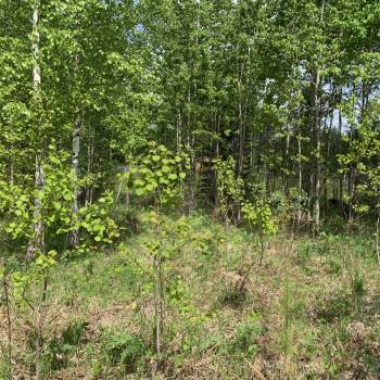 Продается Участок, 800 м²