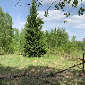 Продается Участок, 800 м²