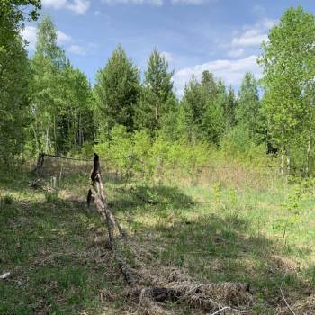 Продается Участок, 800 м²