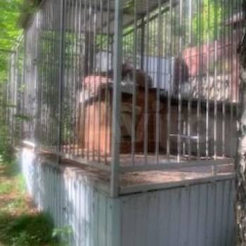 Продается Дом, 250 м²