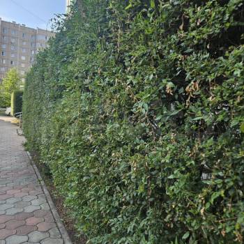 Продается 2-х комнатная квартира, 62 м²