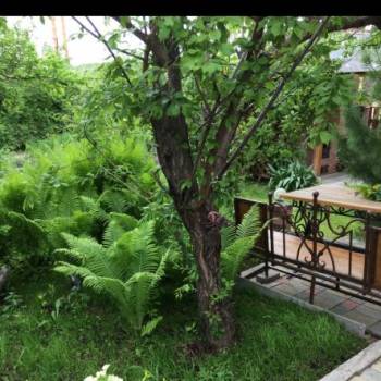 Продается Дом, 70 м²