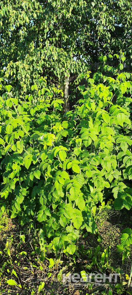 Продам участок, Шуваевский сельсовет, СНТ Луч, ул. Цветочная