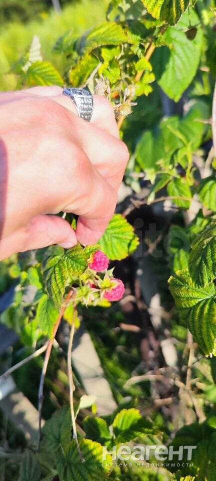 Фотография №4