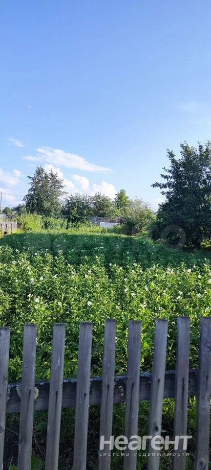 Фотография №5