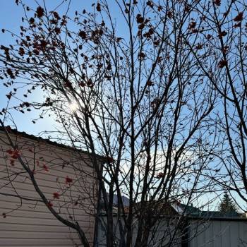 Продается Дом, 66 м²