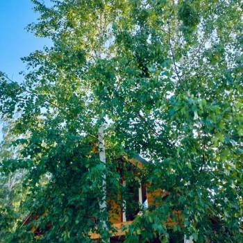 Продается Дом, 36 м²