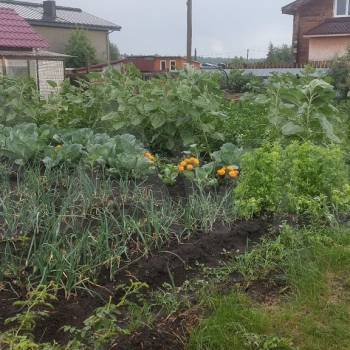 Продается Дом, 40 м²