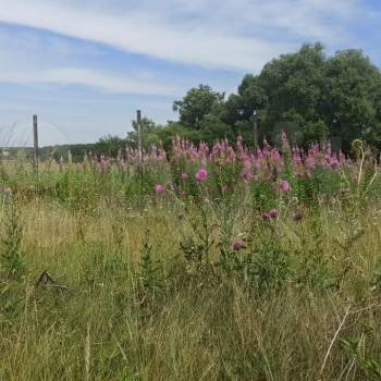 Продается Участок, 880 м²