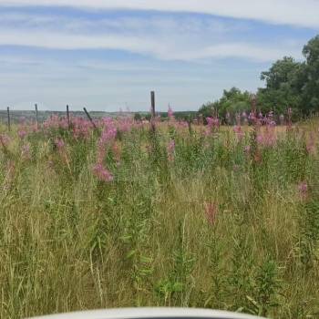 Продается Участок, 880 м²