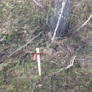 Продается Участок, 1500 м²