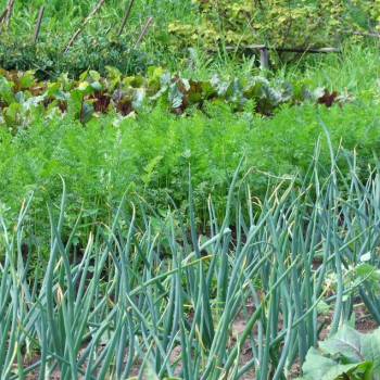 Продается Участок, 1160 м²