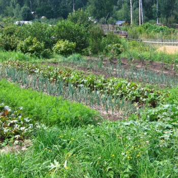 Продается Участок, 1160 м²