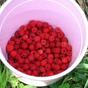 Продается Участок, 1160 м²