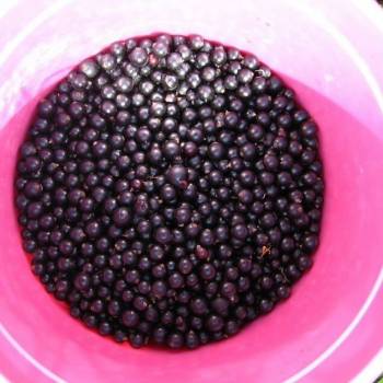 Продается Участок, 1160 м²