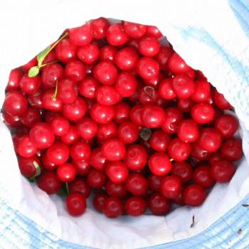 Продается Участок, 1160 м²