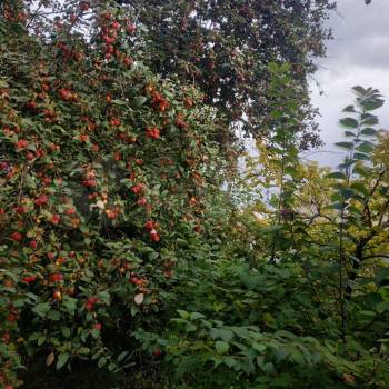 Продается Дом, 48 м²