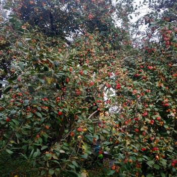 Продается Дом, 48 м²