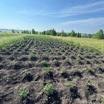 Продается Участок, 1500 м²