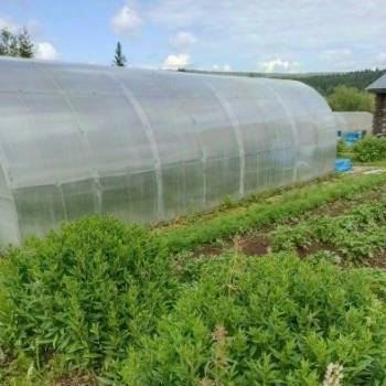 Продается Участок, 800 м²