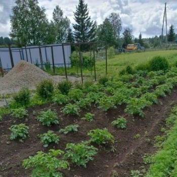 Продается Участок, 800 м²