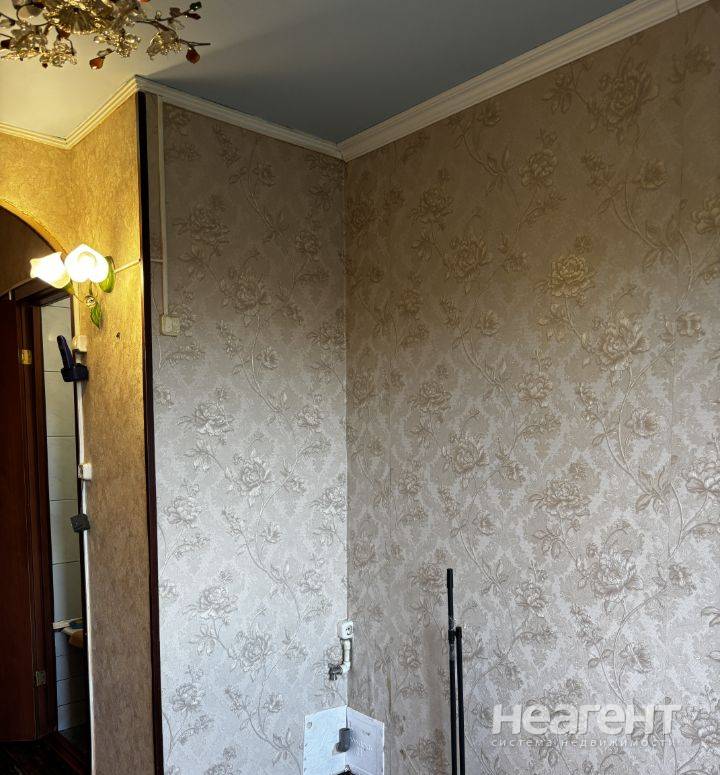 Фотография №2