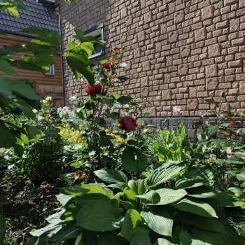 Продается Дом, 103 м²