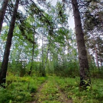 Продается Участок, 800 м²