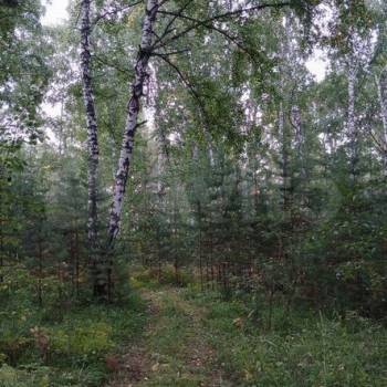 Продается Участок, 800 м²