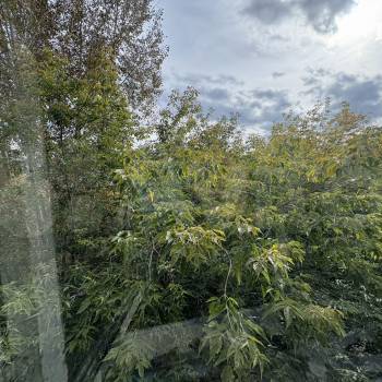 Продается 3-х комнатная квартира, 77,4 м²