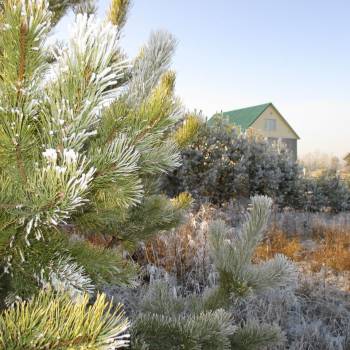 Продается Участок, 1200 м²