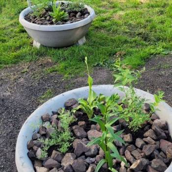 Продается 2-х комнатная квартира, 61,7 м²