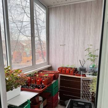 Продается 3-х комнатная квартира, 59,8 м²