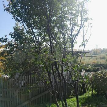 Продается Дом, 10 м²