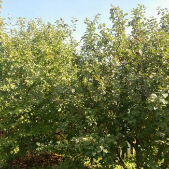 Продается Дом, 10 м²