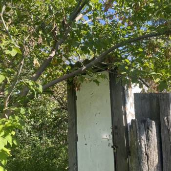 Продается Дом, 23 м²