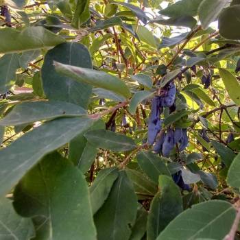 Продается Дом, 40 м²