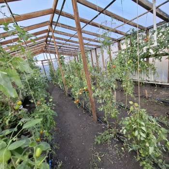 Продается Дом, 51 м²