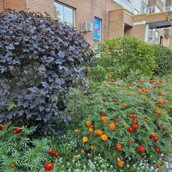 Продается 1-комнатная квартира, 37,9 м²